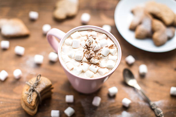 istock Hot cocoa with marshmallows air and ginger cookies 610777414