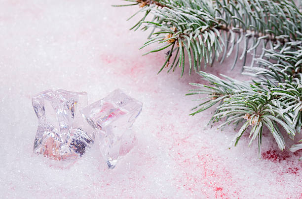 istock the background from white snow and a branch was eaten 610777540