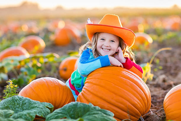 istock Little girl playing on pumpkin patch 610778064