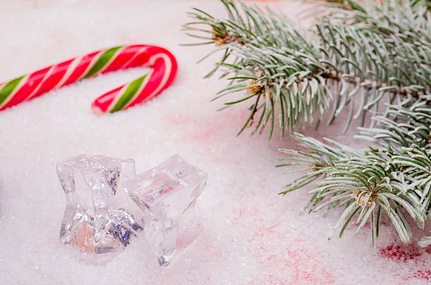 istock the background from white snow and a branch was eaten 610778954