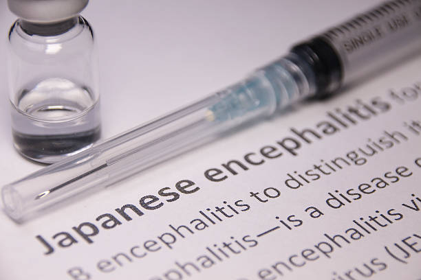 istock Japanese encephalitis Vaccine 610781030