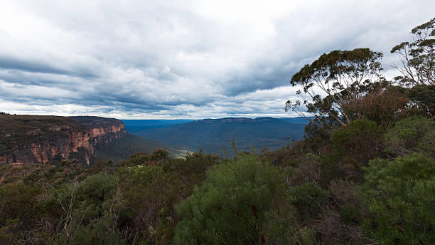 시드니 블루 마운틴, 흐린 날씨 - blue mountains australia sydney australia new south wales 뉴스 사진 이미지