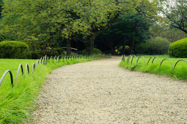 istock Japanese garden road 610786554