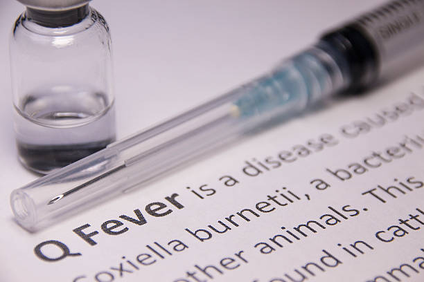 istock Q Fever Vaccine 610786884