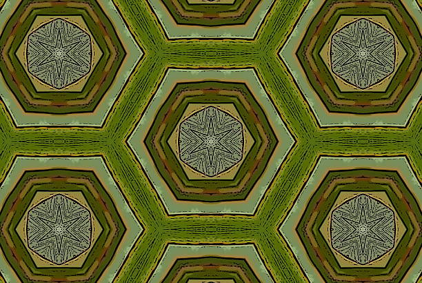 Interesting image worked from my original photo of Harakeke (New Zealand Flax) through various processes into a illustration style Mandala.