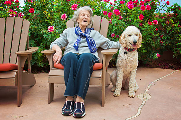istock Senior Woman Talking to Service Dog 610788740