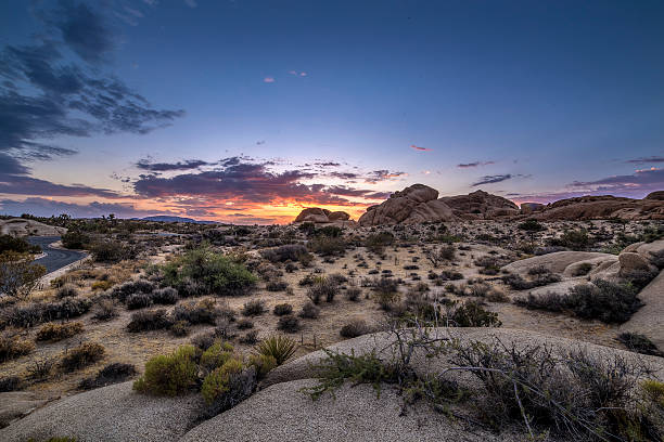 istock Desert at Night or Golden Hour 610790114