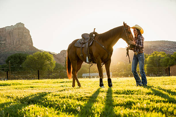 A handsome young cowboy rides on his horse at sunset.