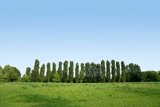 istock Landscape backgroudn nature 610837226