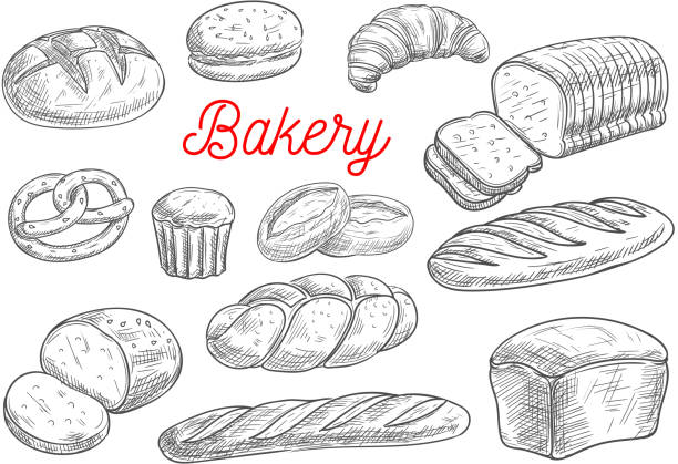 illustrations, cliparts, dessins animés et icônes de croquis vectoriels de pain et de produits de boulangerie - pretzel isolated bread white background