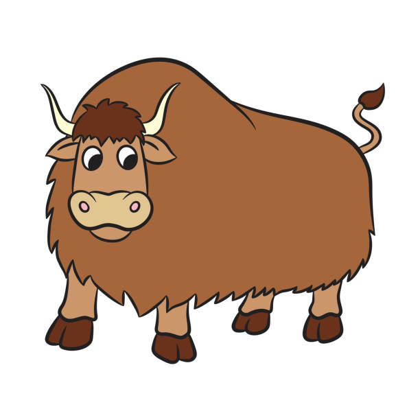 Illustration of yak on a white background Illustration of yak on a white background. Vector tibetan ethnicity stock illustrations