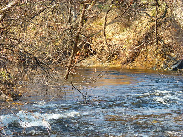 istock Around the bend in the river. 610837866