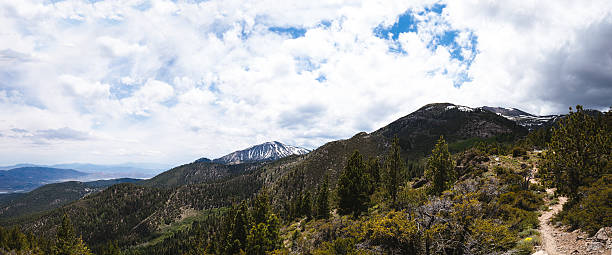 istock Hiking trail leading to Church's Pond 610838440