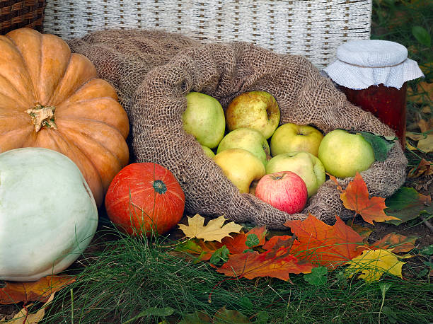 istock The autumn harvest from the garden 610838464