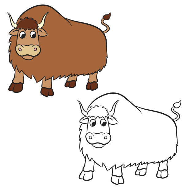 Illustration of yak on a white background Illustration of yak on a white background. Vector tibetan ethnicity stock illustrations