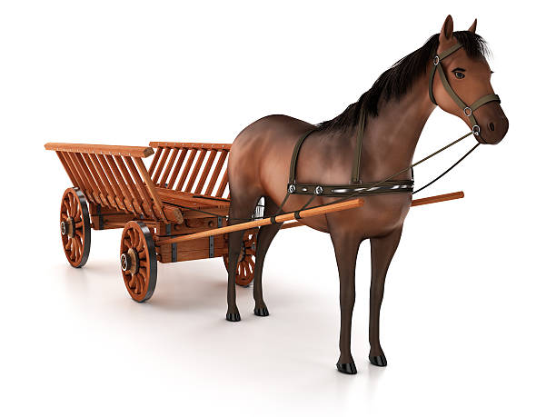 istock Horse and carriage, isolated on white background 610841944