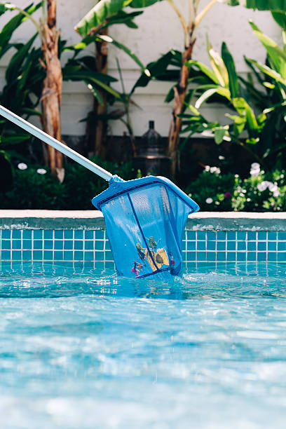 istock Cleaning of a swimming pool 610842886