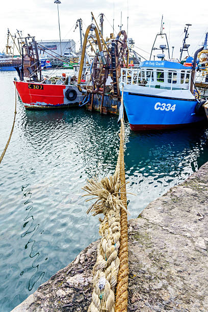 50+ Kilmore Quay Foto Foto Foto Stok, Potret, & Gambar Bebas Royalti