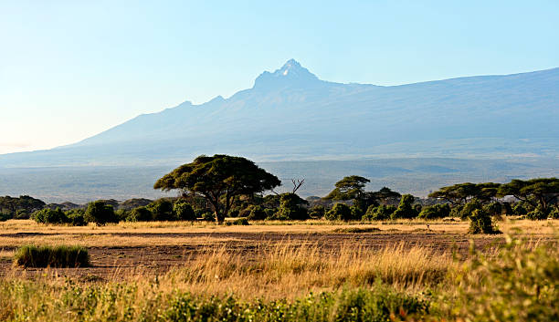 istock African savanna in Kenya 610846616