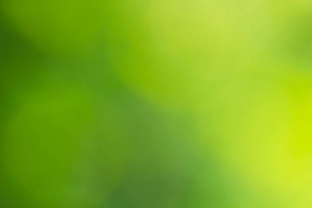 Abstract green blurred background stock photo