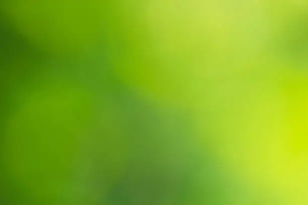 Photo of Abstract green blurred background