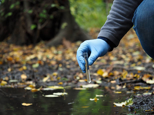 muestra de agua - cholera bacterium fotografías e imágenes de stock