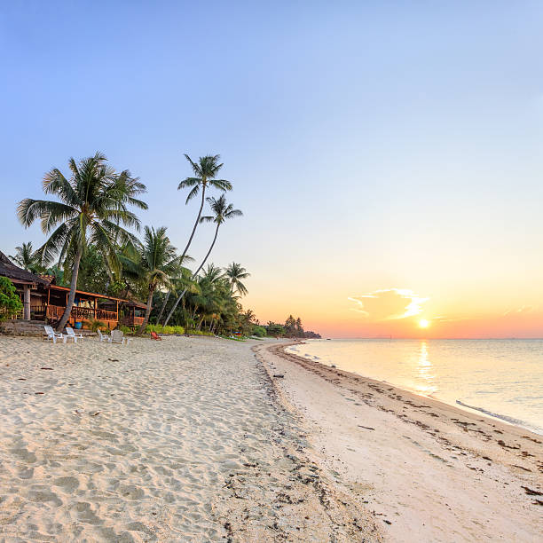 istock Asian tropical beach paradise 610848580