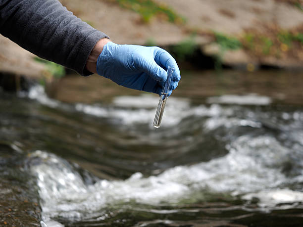 water sample. gloved hand into the water collecting tube. - impurities imagens e fotografias de stock