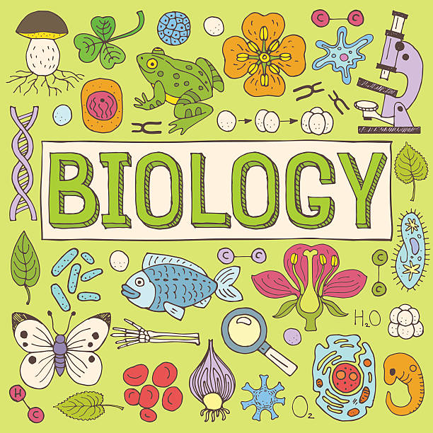 ilustrações, clipart, desenhos animados e ícones de ilustração de biologia - bacterium virus magnifying glass green