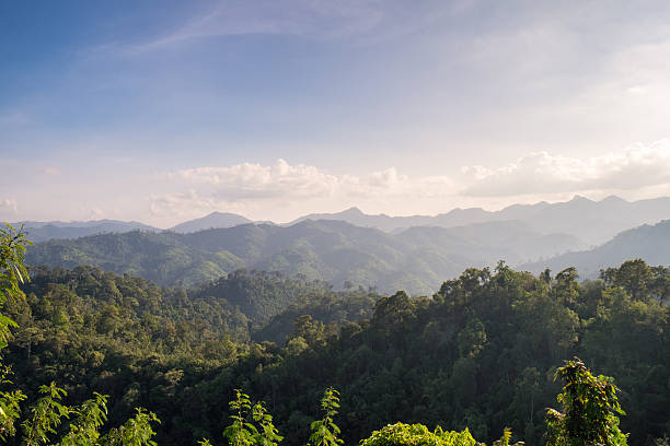 istock Tropical rain forest landscpae in thailand 610854940