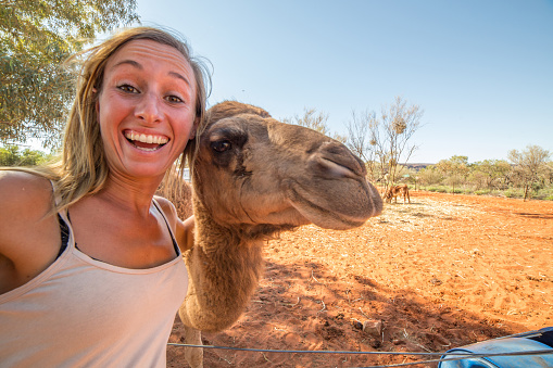 Young woman in the Australian outback takes a selfie portrait with a camel.