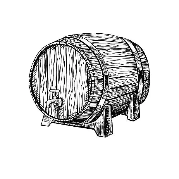 Vector illustration of Vector wooden barrel. Hand drawn vintage  illustration in engrav