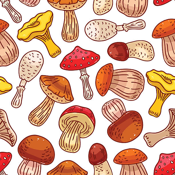 버섯의 원활한 배경 - 독우산광대버섯 stock illustrations