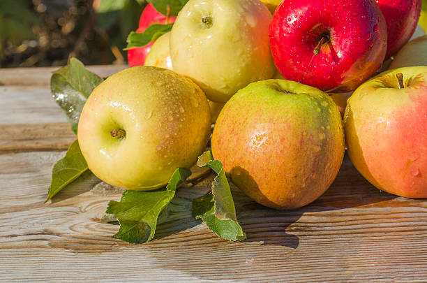istock Ripe apples on wooden background 610857772