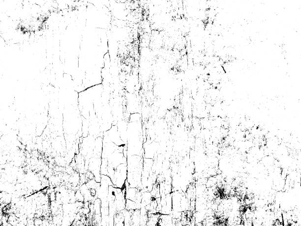 Cracks texture overlay. Vector background Cracks texture overlay. Dry cracked ground texture. Cracked concrete wall texture. Abstract grunge white and black background. Vector illustration. weathered textures stock illustrations