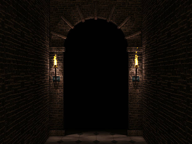 arc sombre - inside of indoors castle column photos et images de collection