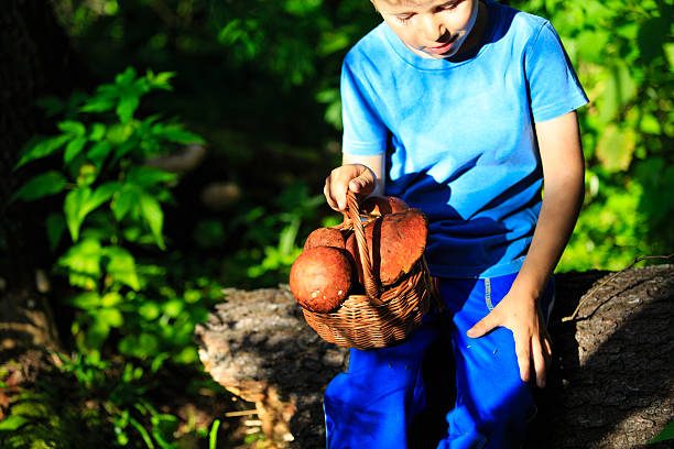 istock little boy pick mushrooms in green forest 610859462