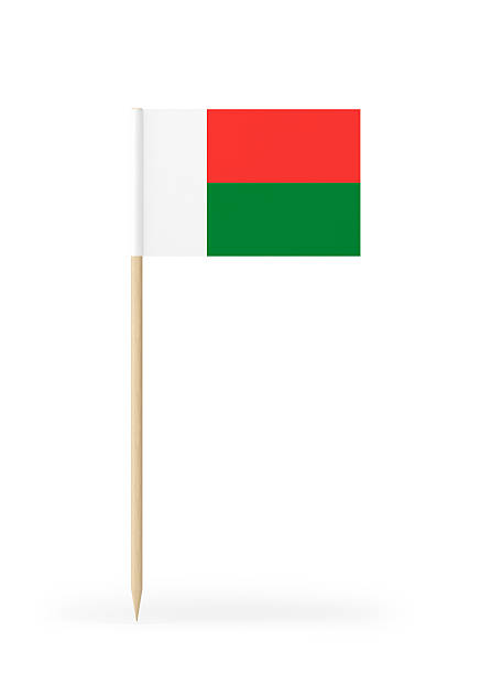 istock Small Flag of Madagascar on a Toothpick 610859484
