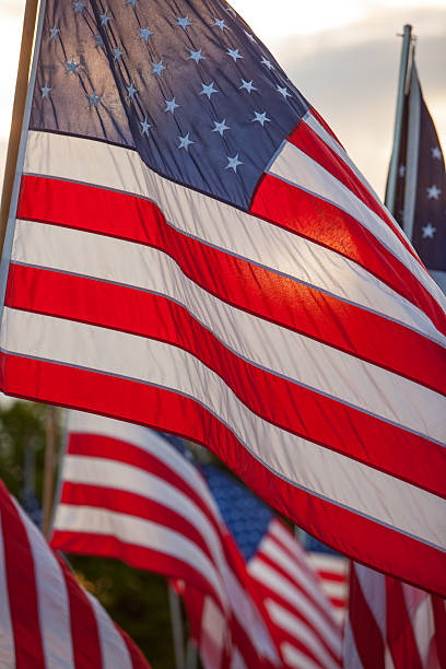 istock American flags at sunrise. 610862752