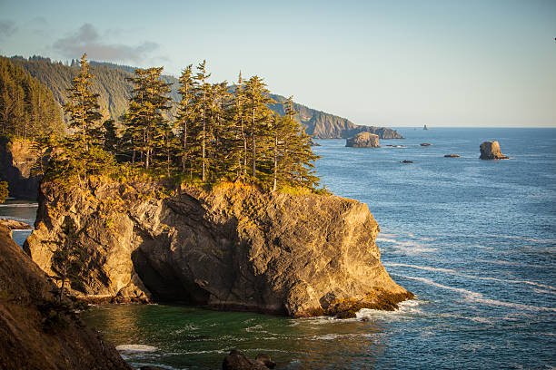 istock Boardman State Park along the Oregon coast. 610863322