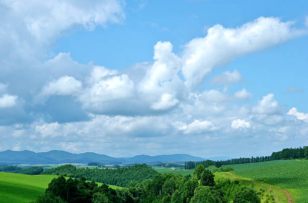 istock Hill landscape of Biei 610866404