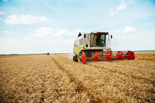 istock Combine harvester in action on wheat field. 610867088