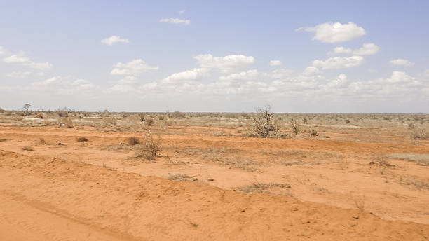 istock The road through african savanna. Kenya. Eastern Africa 610867278