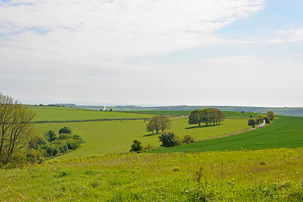 istock The South Downs countryside near Worthing, England 610868186