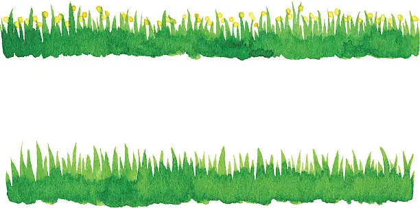Vector illustration of Watercolor Green Grass