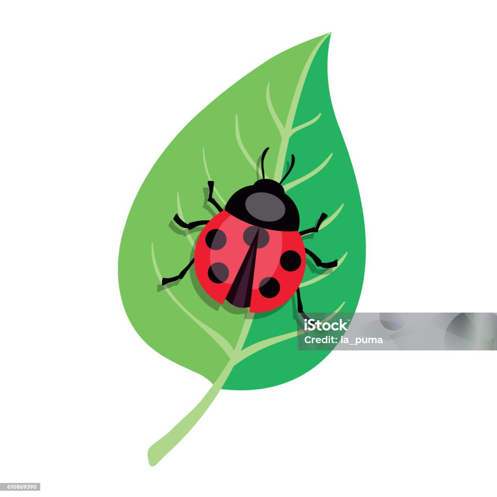 Ladybug Crawling On A Green Leaf Color Vector Illustration Stock ...