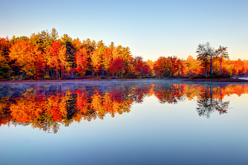 Autumn foliage on the shoreline of a lake in the north countryside of Maine