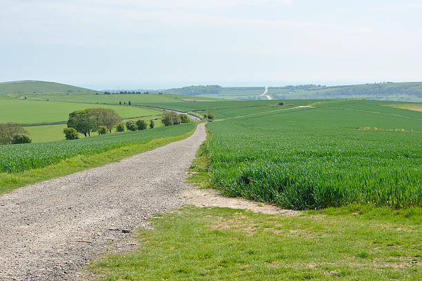 istock The South Downs countryside near Worthing, England 610870922