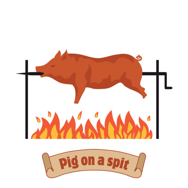 ilustraciones, imágenes clip art, dibujos animados e iconos de stock de cerdo a la parrilla. lechón asador. barbacoa de cerdo. - roasting spit