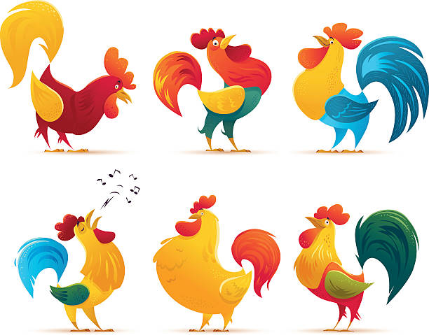 ilustraciones, imágenes clip art, dibujos animados e iconos de stock de vector año nuevo felicitación diseño de la tarjeta. - chicken poultry cartoon cockerel